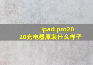 ipad pro2020充电器原装什么样子